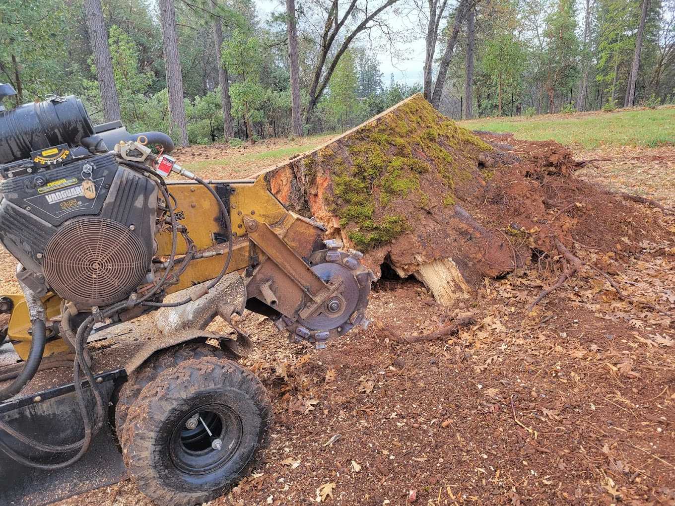 Yellow Vanguard 35HP stump grinder working a mossy stump in a residential yard