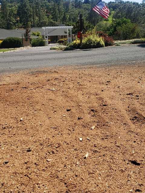 Same roadside site after the stump was ground out and the chips were raked level