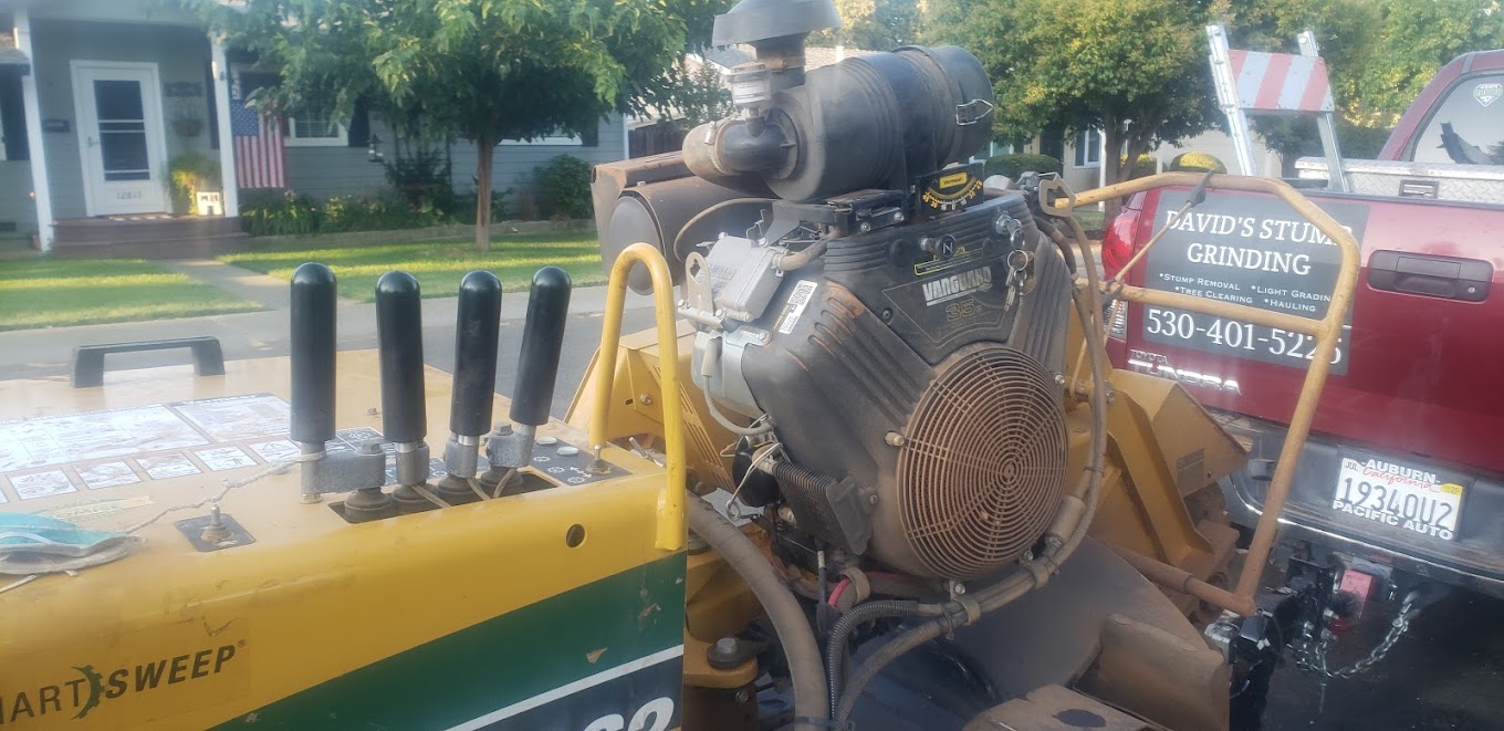 Our professional team