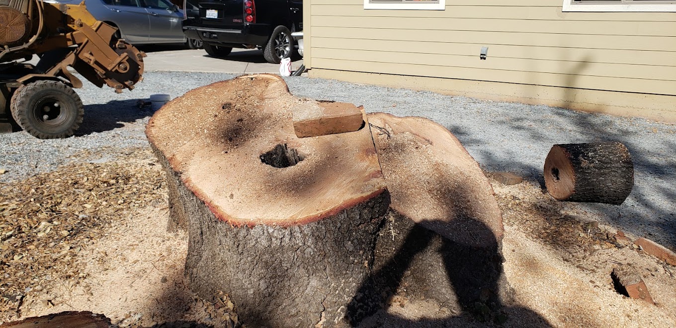 Stump Grinding