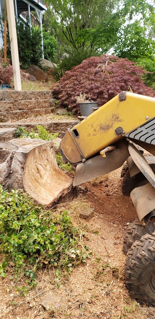 Tree Clearing & Trimming